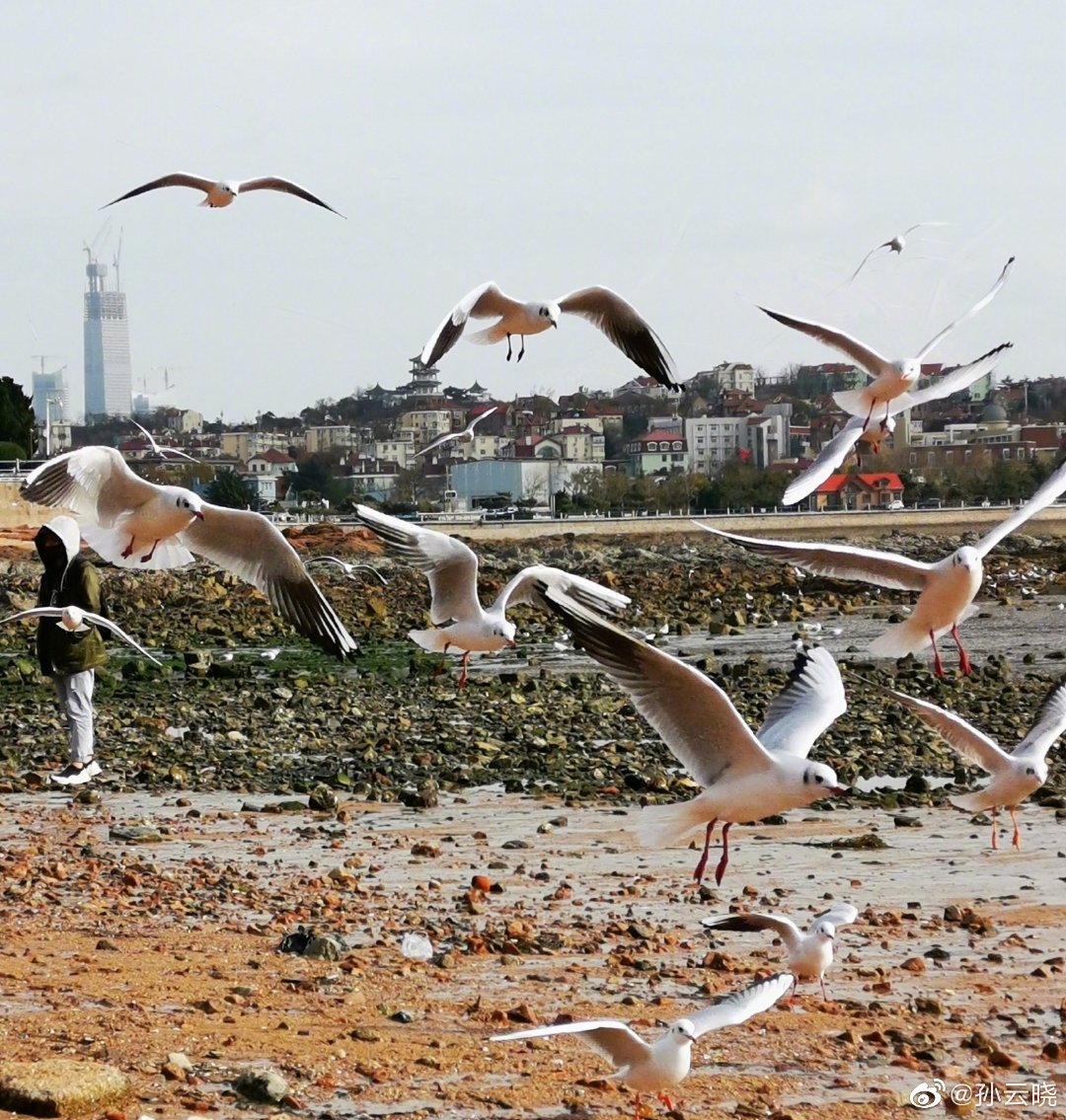 哇！我買(mǎi)了一個(gè)貨柜裝軟糖用于郵輪生活……